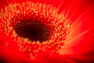 Similar image 1451968