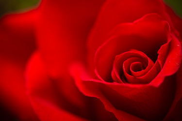 Similar image 1451969