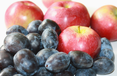 Similar image 1452008