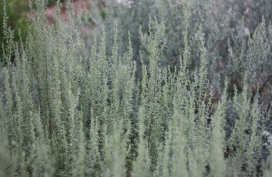 Similar image 1452009