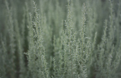 Similar image 1452010