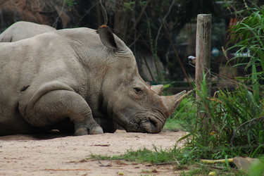 Similar image 1452060