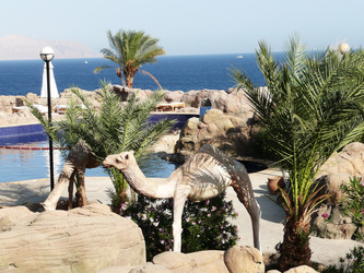 Similar image 1452061