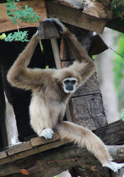 Similar image 1452101