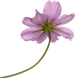 Similar image 1452117