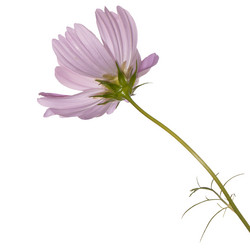 Similar image 1452118