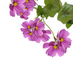 Similar image 1452125