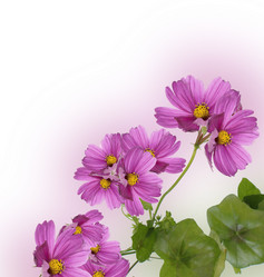 Similar image 1452126