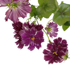 Similar image 1452127