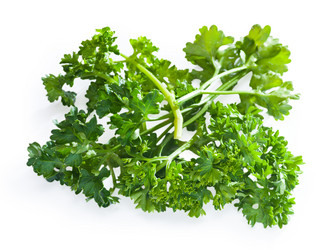 Similar image 1452154