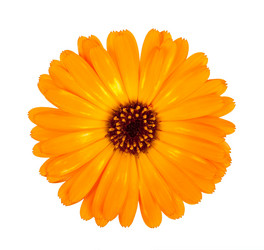 Similar image 1452204