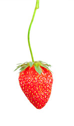 Similar image 1452218