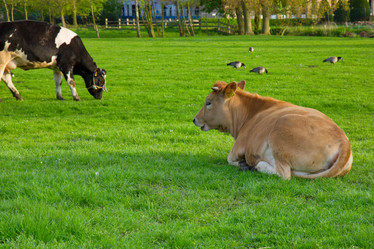 Similar image 1452229