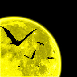 Similar image 1452232