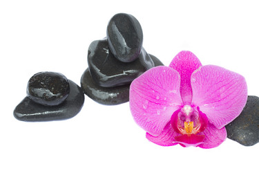 Similar image 1452244