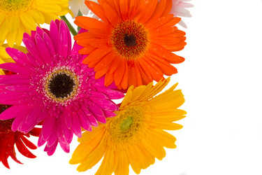 Similar image 1452251