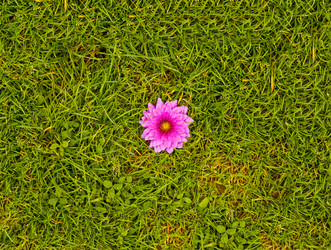 Similar image 1452303