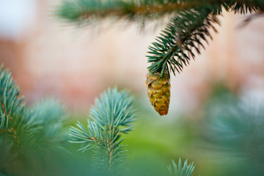 Similar image 1452345