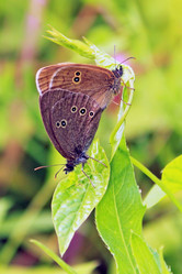 Similar image 1452348