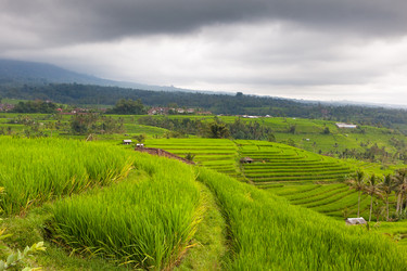 Similar image 1452354