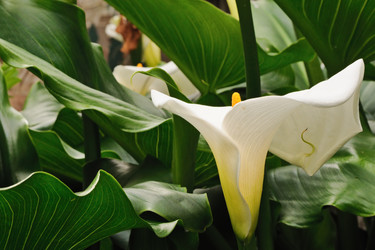 Similar image 1452367