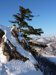 Similar image 1452371