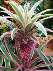 Similar image 1452502