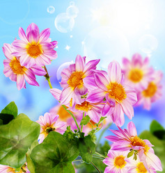 Similar image 1452505