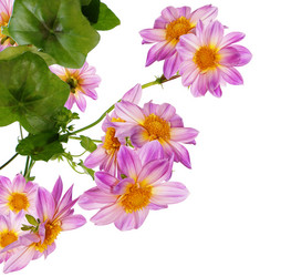 Similar image 1452508