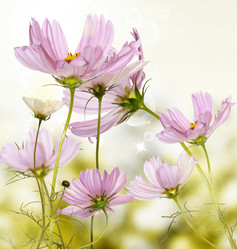 Similar image 1452509