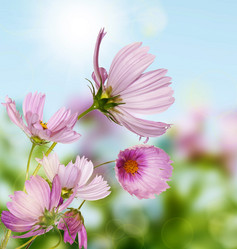 Similar image 1452510