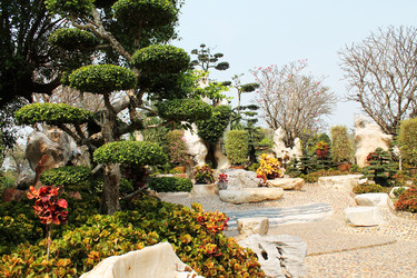 Similar image 1452518