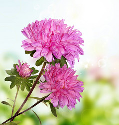 Similar image 1452524