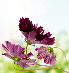 Similar image 1452525