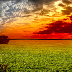 Similar image 1452573