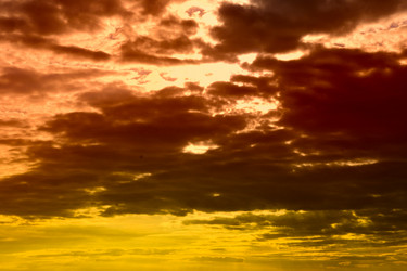 Similar image 1452589