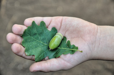 Similar image 1452615