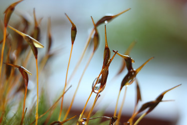 Similar image 1452745