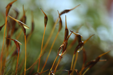 Similar image 1452746