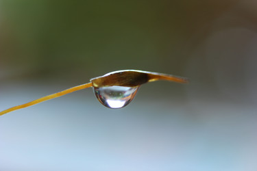 Similar image 1452747