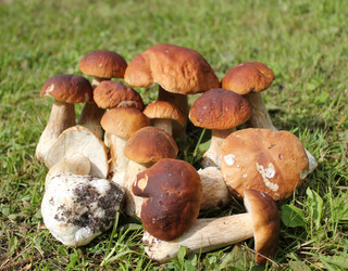 Similar image 1452749