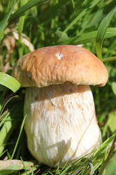 Similar image 1452755