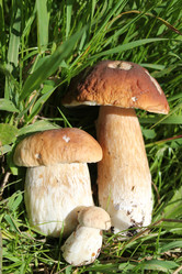 Similar image 1452756