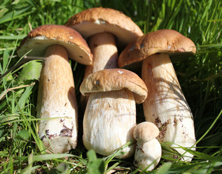 Similar image 1452757