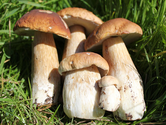 Similar image 1452758