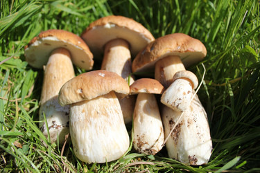 Similar image 1452759