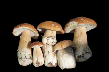 Similar image 1452760