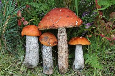 Similar image 1452764