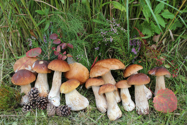 Similar image 1452765