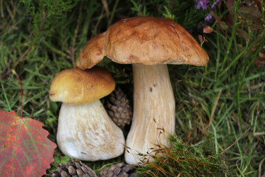 Similar image 1452766